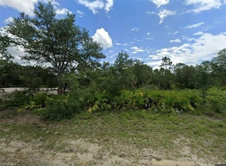 1834 Jacinto Ave, Lehigh Acres, FL 33972