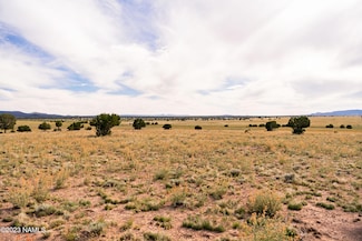 000-B2 Kirby Lane Parcel B2 Ln, Ash Fork, AZ 86320
