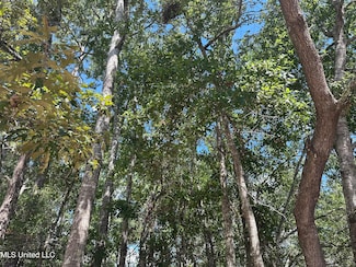 00 Indiantown Rd, Escatawpa, MS 39562