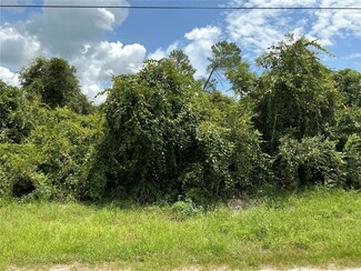 0 7th Ave Unit MFROM684166, Deland, FL 32724