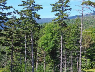 00 Knolls Rd Unit 4, Warren, VT 05674