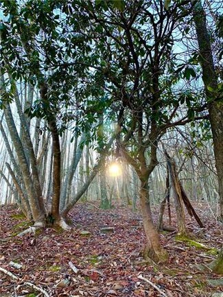 333 Boundary Tree Pass Unit 16, Avery Creek, NC 28704
