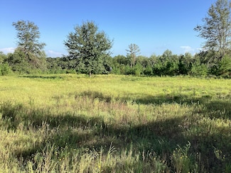 300 Pond Creek Rd, Luverne, AL 36049