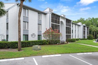 1308 Pine Ridge Cir E Unit B1, Tarpon Springs, FL 34688