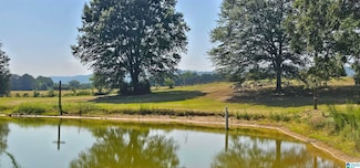 1218 Beason Cove Rd, Steele, AL 35987