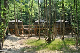 750 Caney Creek Rd, Cosby, TN 37722