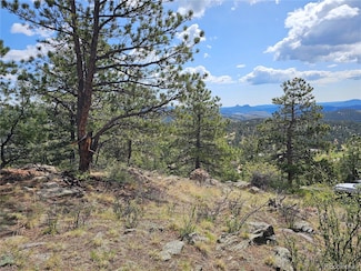 000 Dick Mountain Dr, Bailey, CO 80421