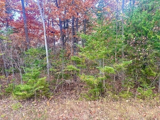 Lot 45 Pine St, Presque Isle, MI 49777