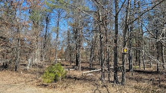 6 Lumberjack Ct, Grayling Township, MI 49738