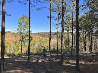 0 Worley Rd Unit RTC2810083, Soddy-Daisy, TN 37379