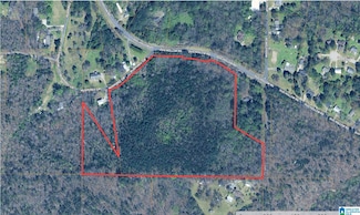 5317 Dug Hollow Rd, Pinson, AL 35126