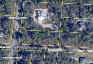 16112 Mount Sparrow Rd, Weeki Wachee, FL 34614