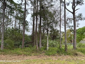 149 Santa Rosa Ave SW, Palm Bay, FL 32908