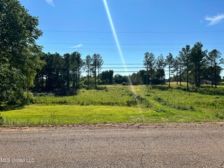 Lot 2 Fogg Rd S, Nesbit, MS 38651