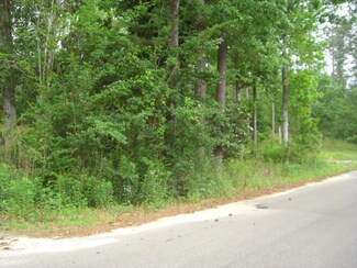 00 Brady Rd, Petal, MS 39465