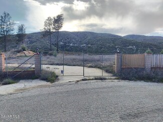18152 Newview Dr, Lake Hughes, CA 93532