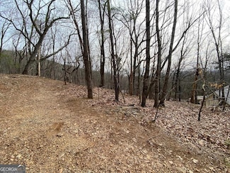 0 Lookout Ridge Rd Unit 11 10493334, Cleveland, GA 30528