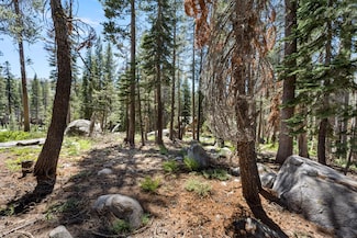 21752 Lotta Crabtree, Soda Springs, CA 95728