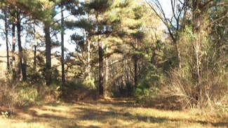 226-1 County Road 359, Elba, AL 36323