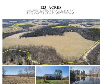 1571 St Luke Rd, Conway, MO 65632