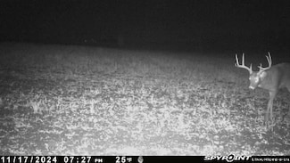 E21504 Karow Rd, Augusta, WI 54722