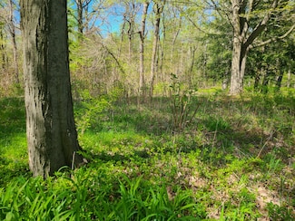 3251 Chestnut Ave, Coloma, MI 49038