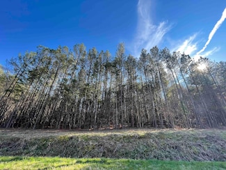 0 Rock Fence Rd NW Unit 22601621, Adairsville, GA 30103