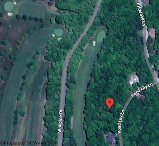 283 Pond Lily Ln, Terra Alta, WV 26764