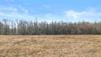 254 Bailey St, Searcy, AR 72143