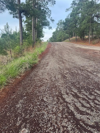 Lot 1490 Haleakala Ln, Bastrop, TX 78602