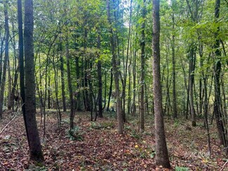 Tract 3 Mount Carmel Rd, Vinton, OH 45686