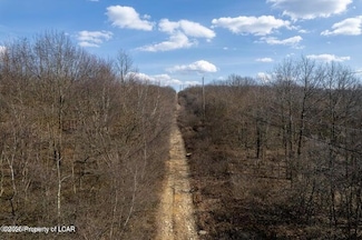0 Berry Rd, Archbald, PA 18403