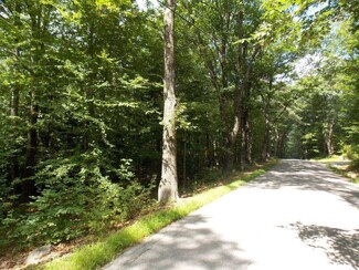 0 Rhododendron Rd Unit 4508920, Fitzwilliam, NH 03447