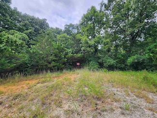 702 Dixie Cir, Horseshoe Bend, AR 72512