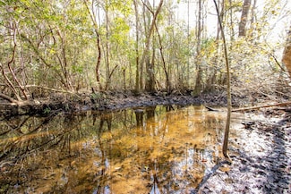 XX1 Pleasant Hill Rd, Bonifay, FL 32425