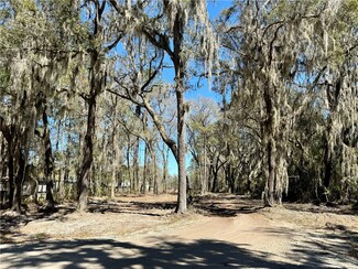3747 Old Shellman Rd, Townsend, GA 31331