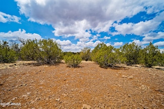 1528 Falcon Rd, Show Low, AZ 85901