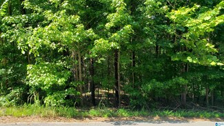 0 County Road 865 Unit 1, Montevallo, AL 35115