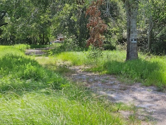 23203 Hopkins Ln, Damon, TX 77430