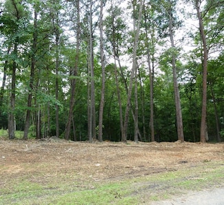 76 Harbor Light Trail, Jasper, AL 35504
