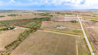 TBD Farm To Market Road 1339, Kingsbury, TX 78638