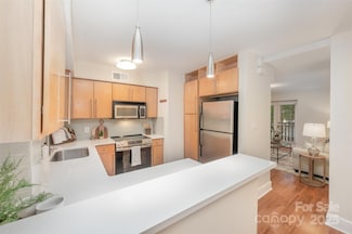 207 N Dotger Ave Unit C14, Charlotte, NC 28207