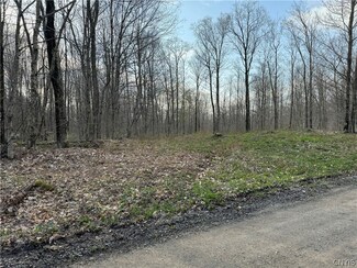 00 Goodhines Rd, Lewis, NY 13489