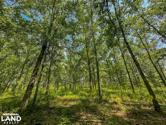 0 Peach Orchard Rd, Brent, AL 35034