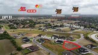 1104 Platinum St, Palmview, TX 78572