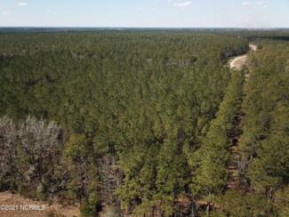 0 Old Fayetteville Rd, Grady, NC 28435