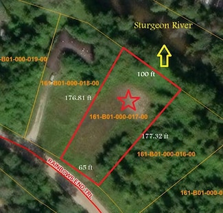 4229 Rainbow End Trail, Indian River, MI 49749