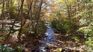 2453 Channel Rd, Mill Creek, WV 26280
