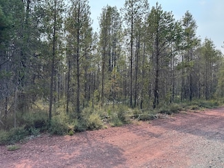 0 Cloudcap Dr Unit 1 220208375, Chiloquin, OR 97624