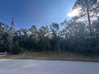 3328 Horseshoe Ln, Spring Hill, FL 34606